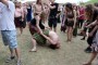 Thumbs/tn_Keltfest 2018 323.jpg